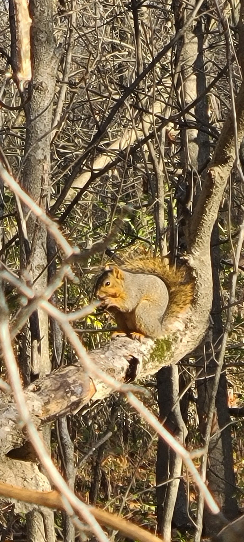 20201107_091955.jpg