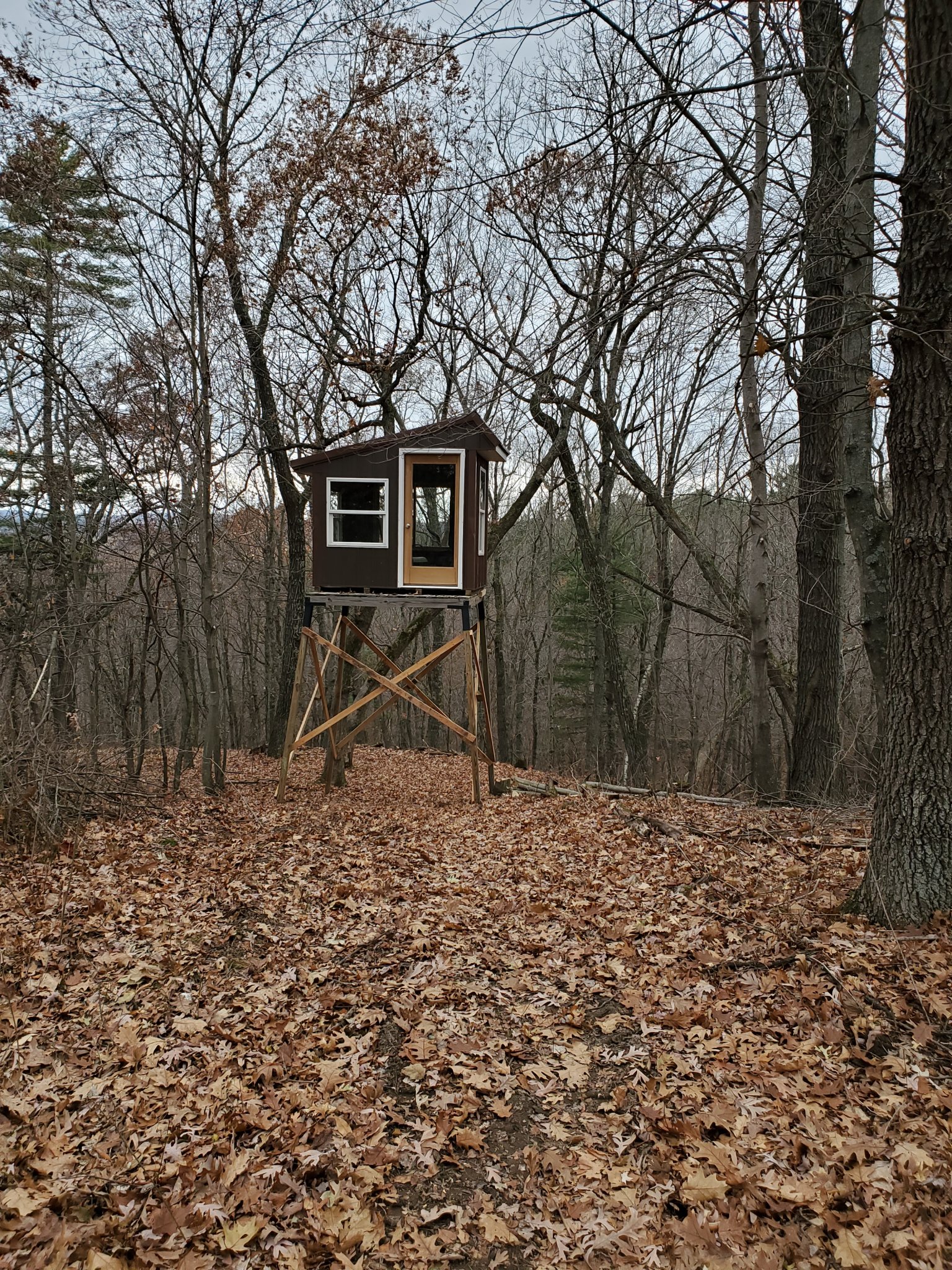 20201109_121257.jpg
