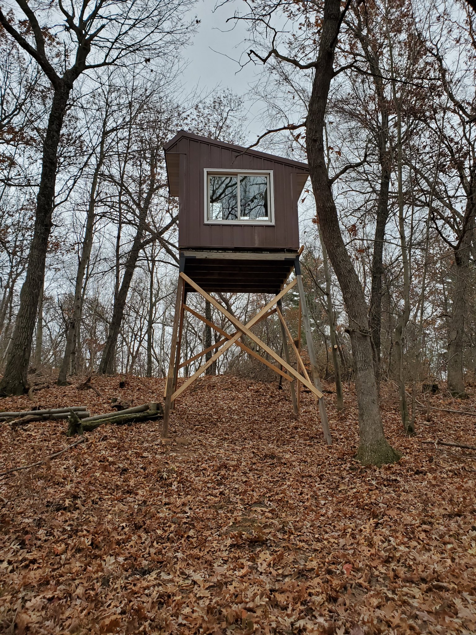 20201109_121337.jpg