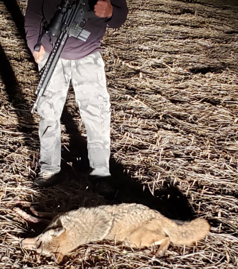 20201111_225710.jpg