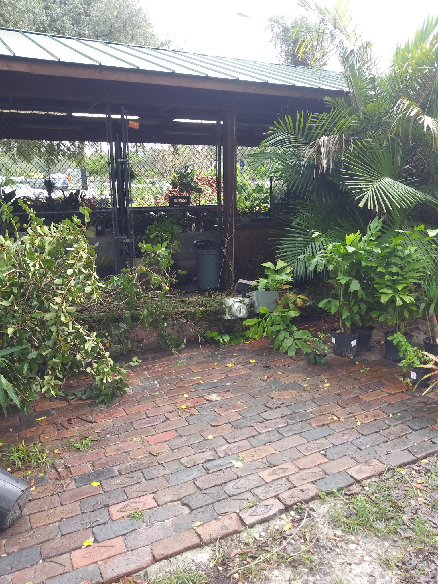 20201112_114544_HDR.jpg