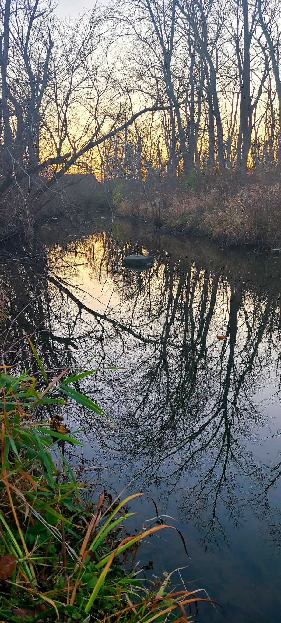 20201113_171937.jpg