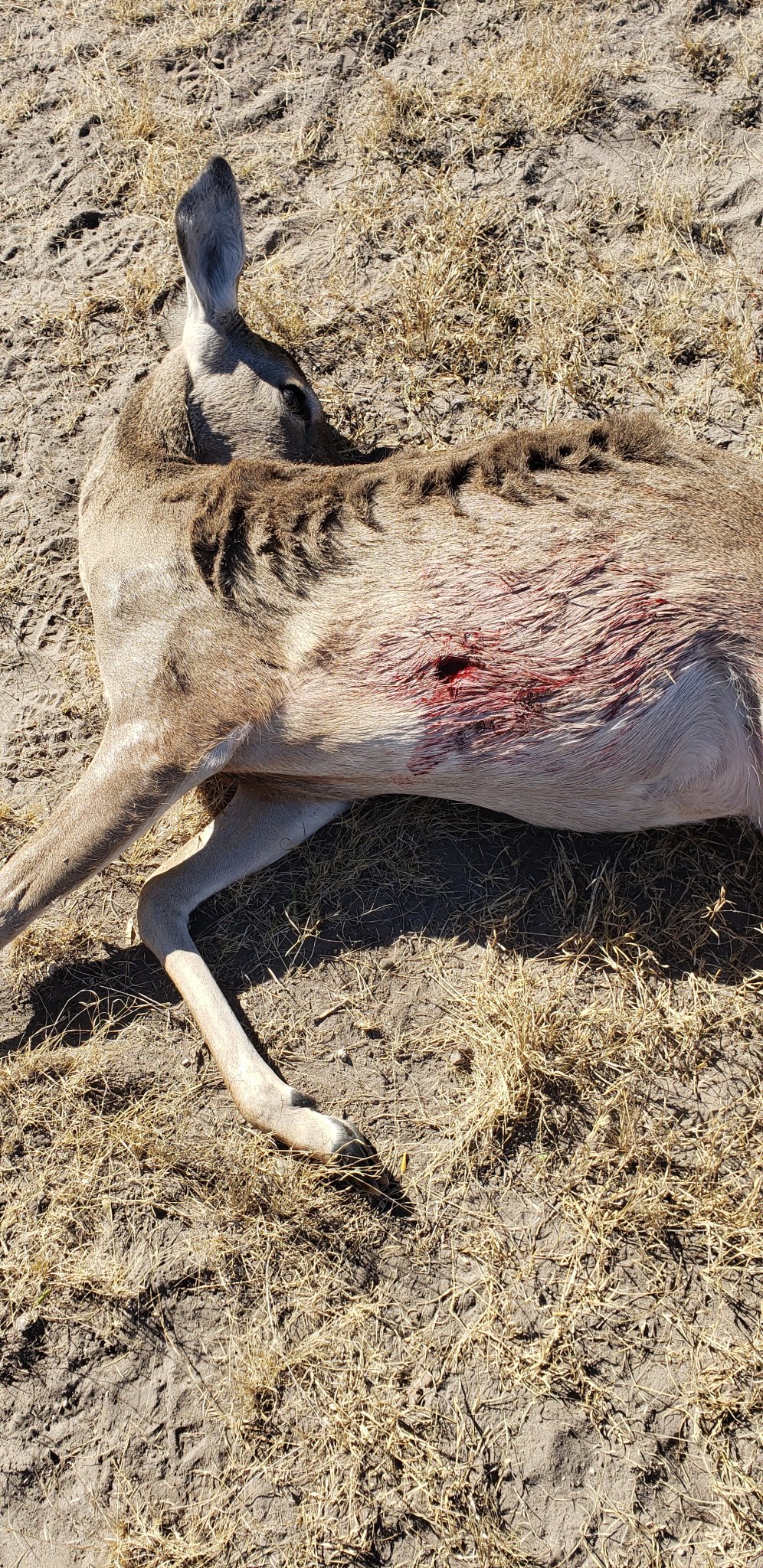 20201117_101311.jpg