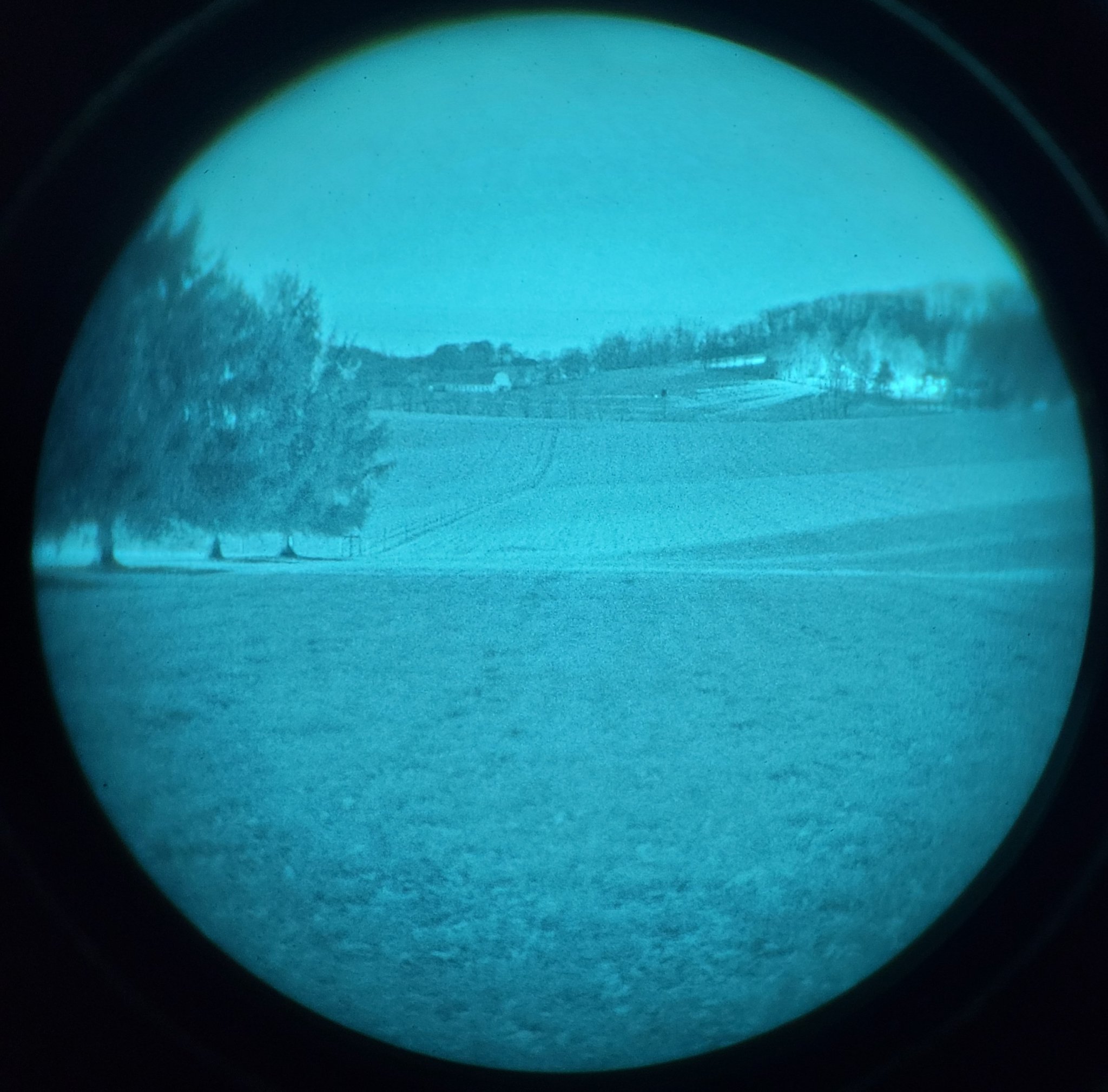 20201120_230709.jpg
