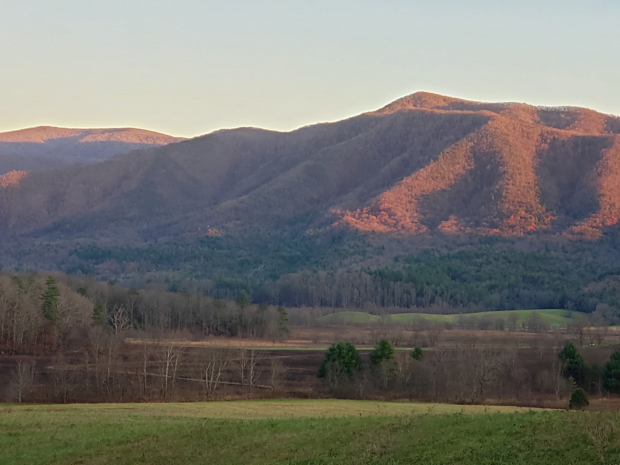 20201123_171545.jpg