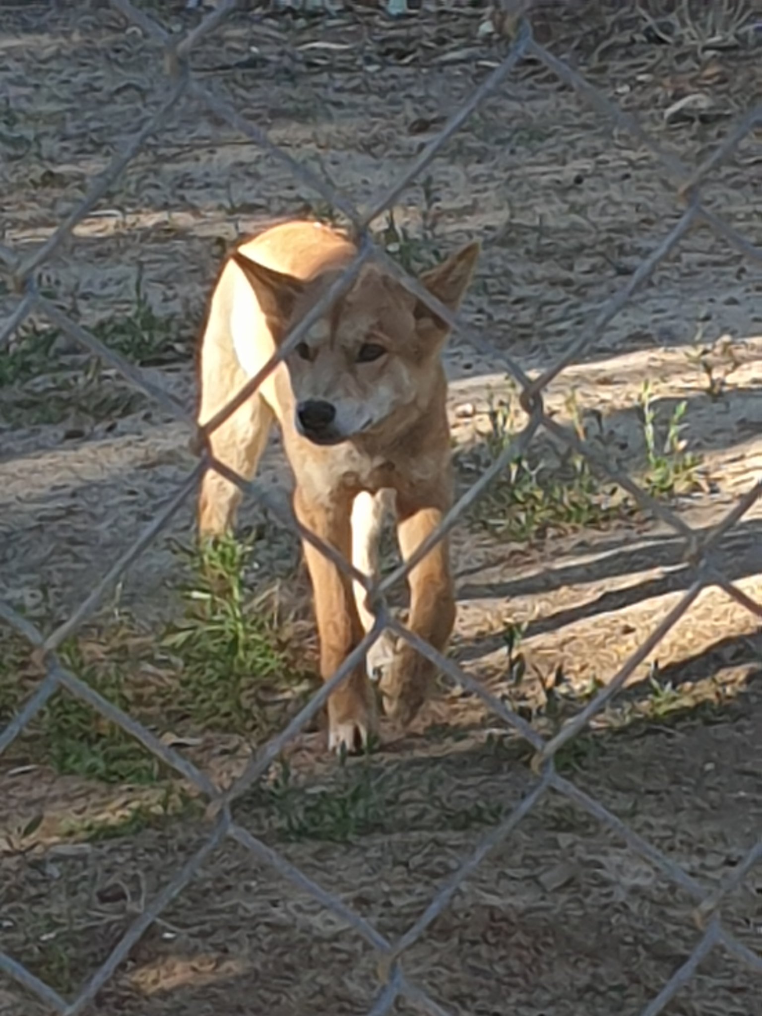 20201125_165223.jpg