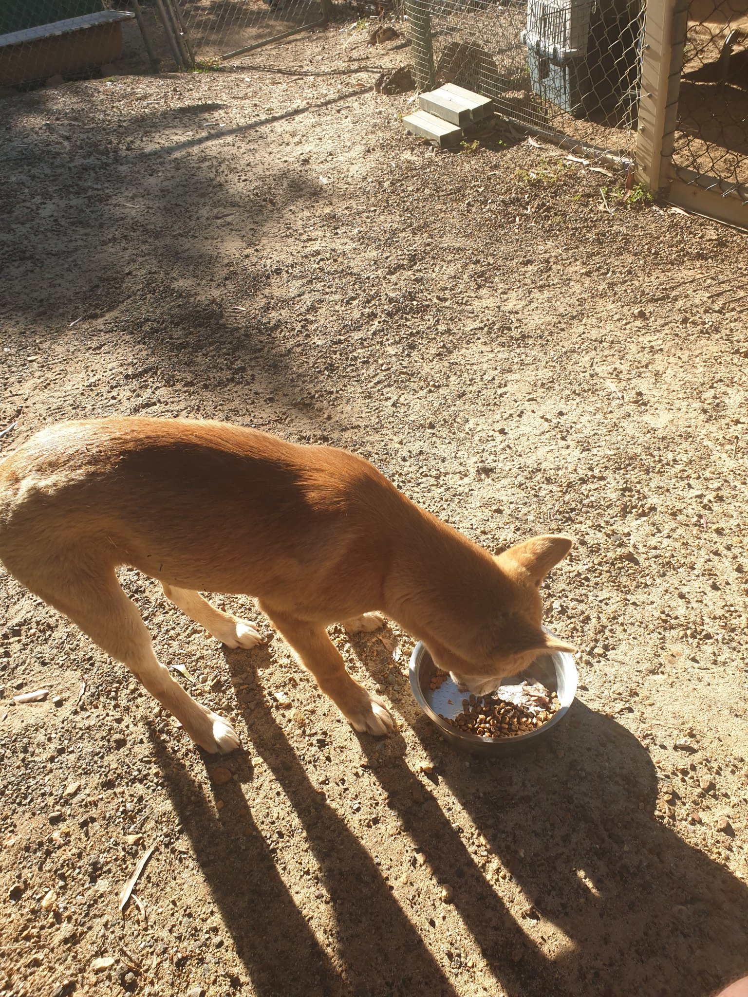 20201125_165314.jpg