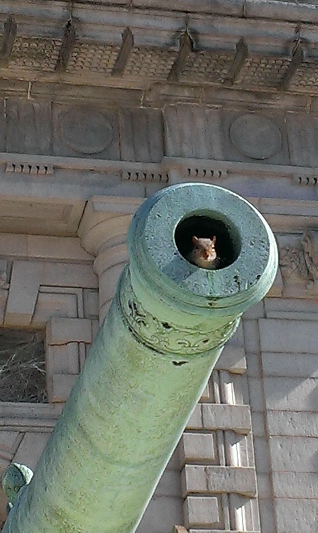 20201125_165522.jpg