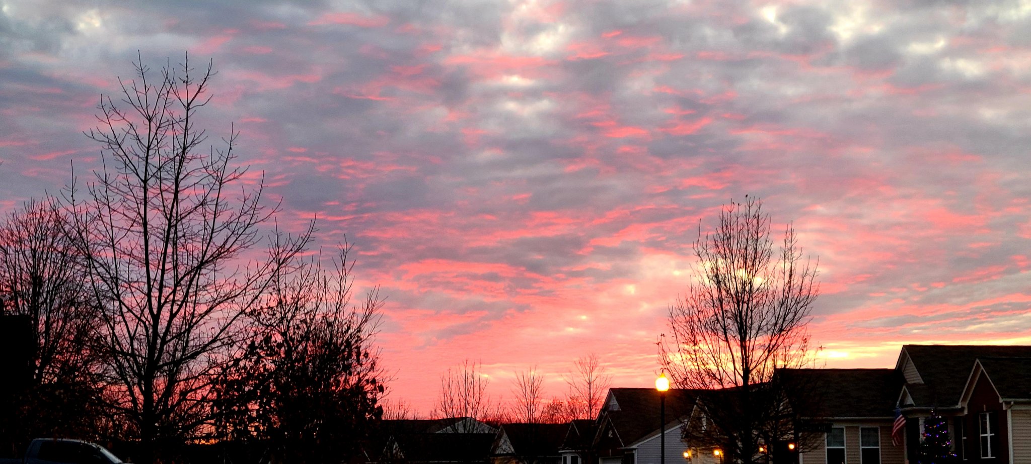 20201127_172657.jpg