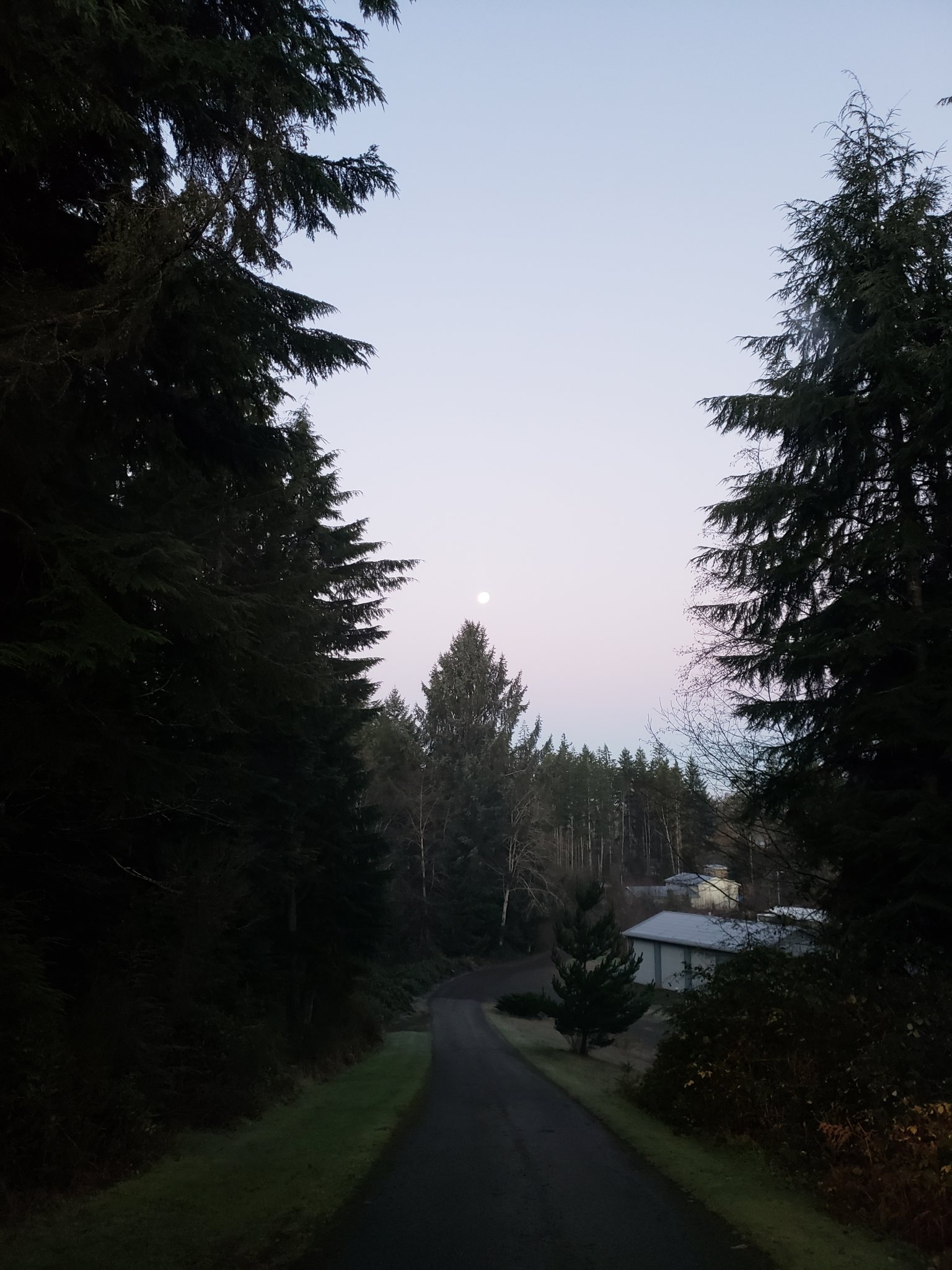 20201201_072436.jpg