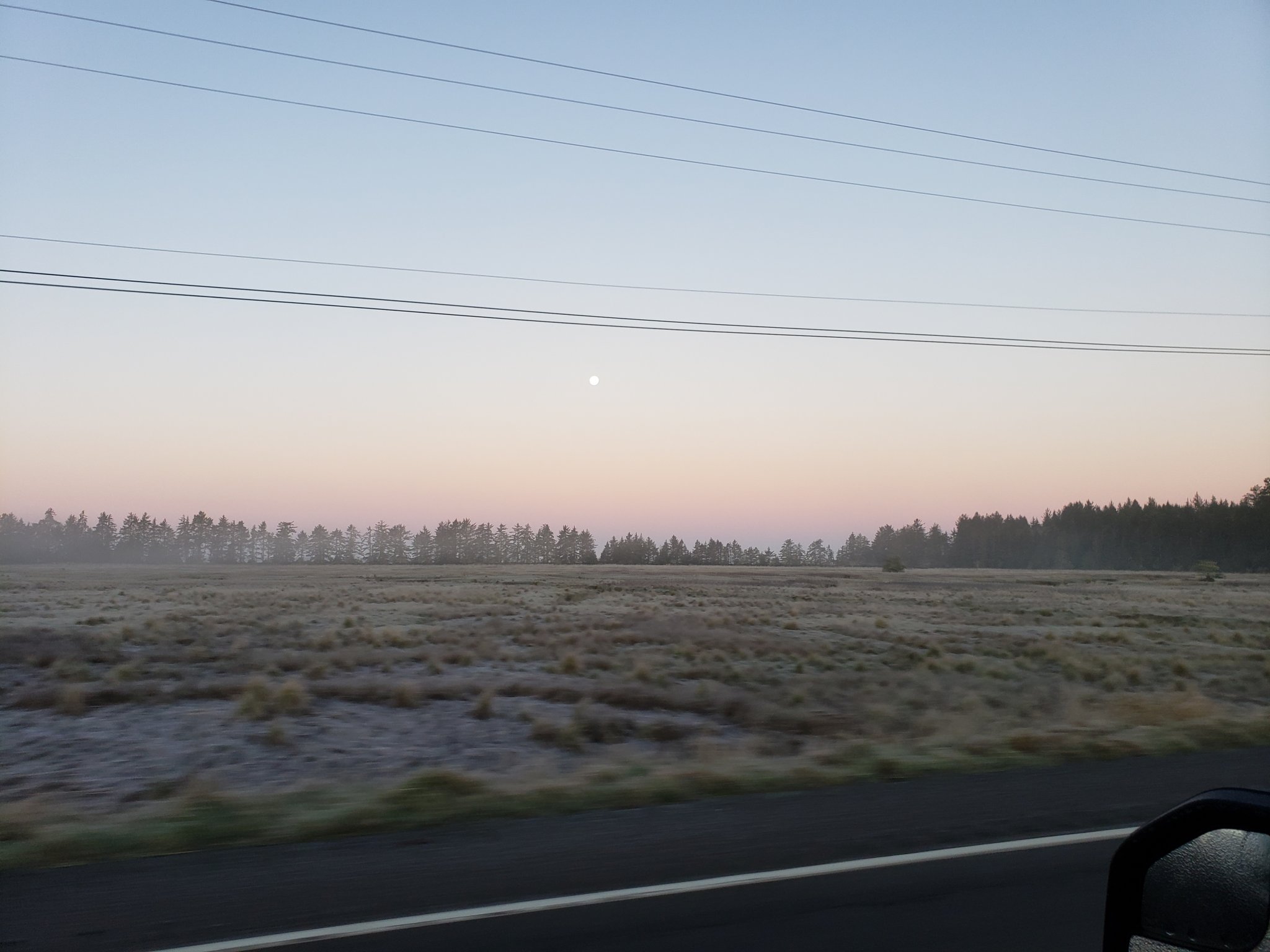 20201201_073909.jpg