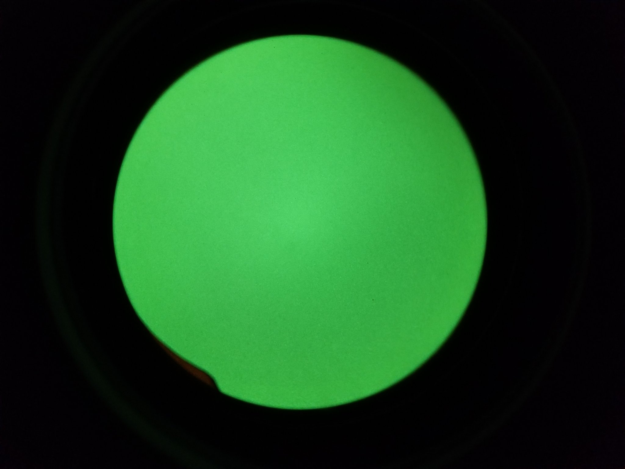 20201201_142118.jpg