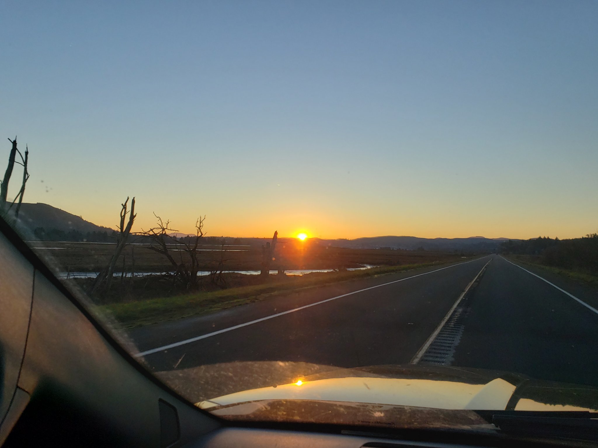 20201202_075012.jpg