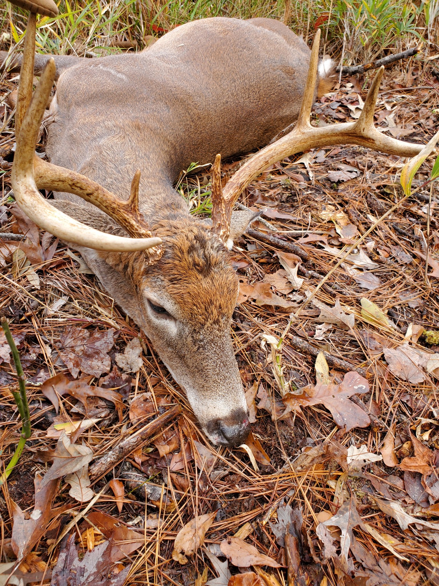 20201205_121339.jpg
