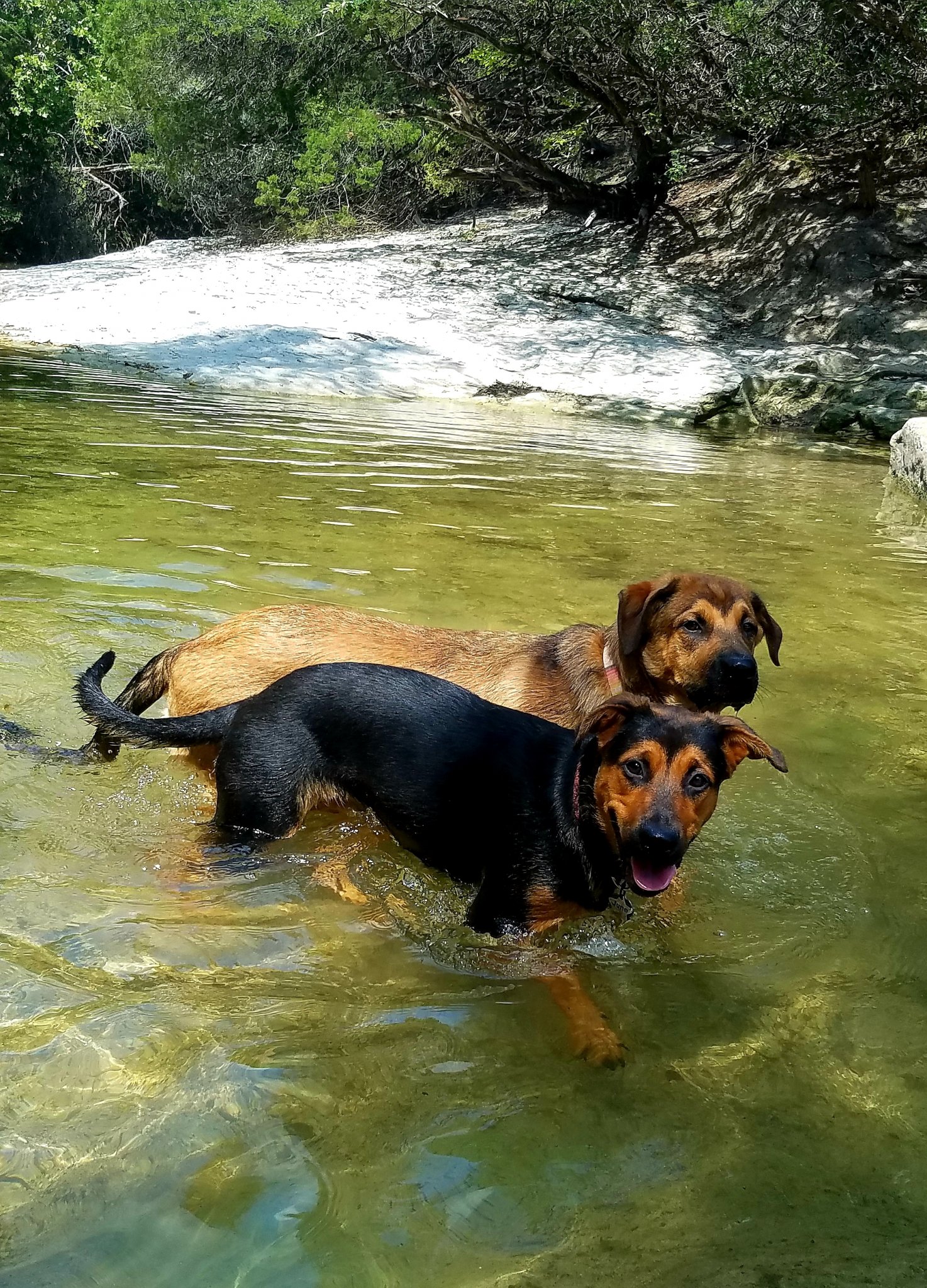 20201211_183133.jpg