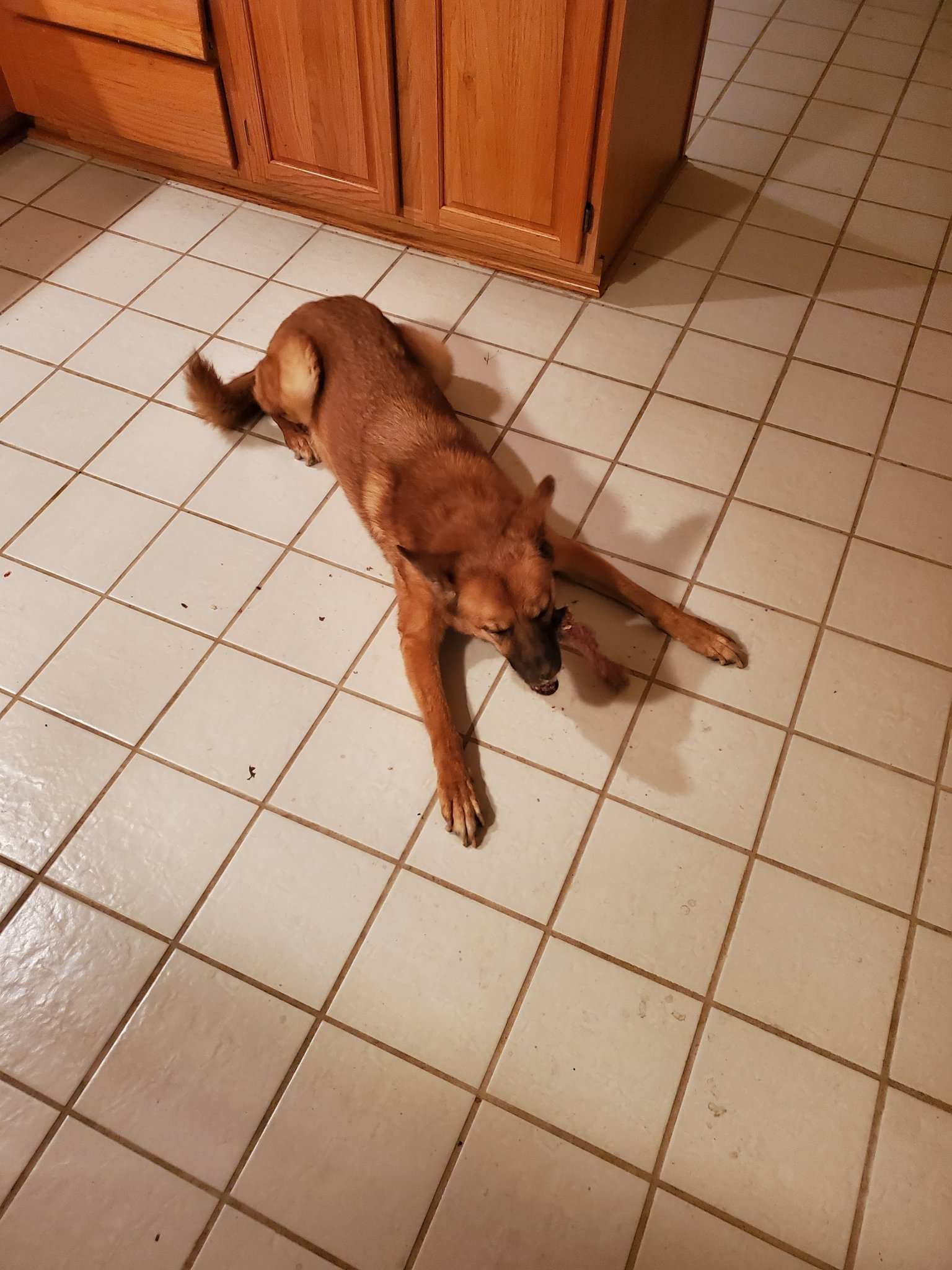 20201211_185713.jpg