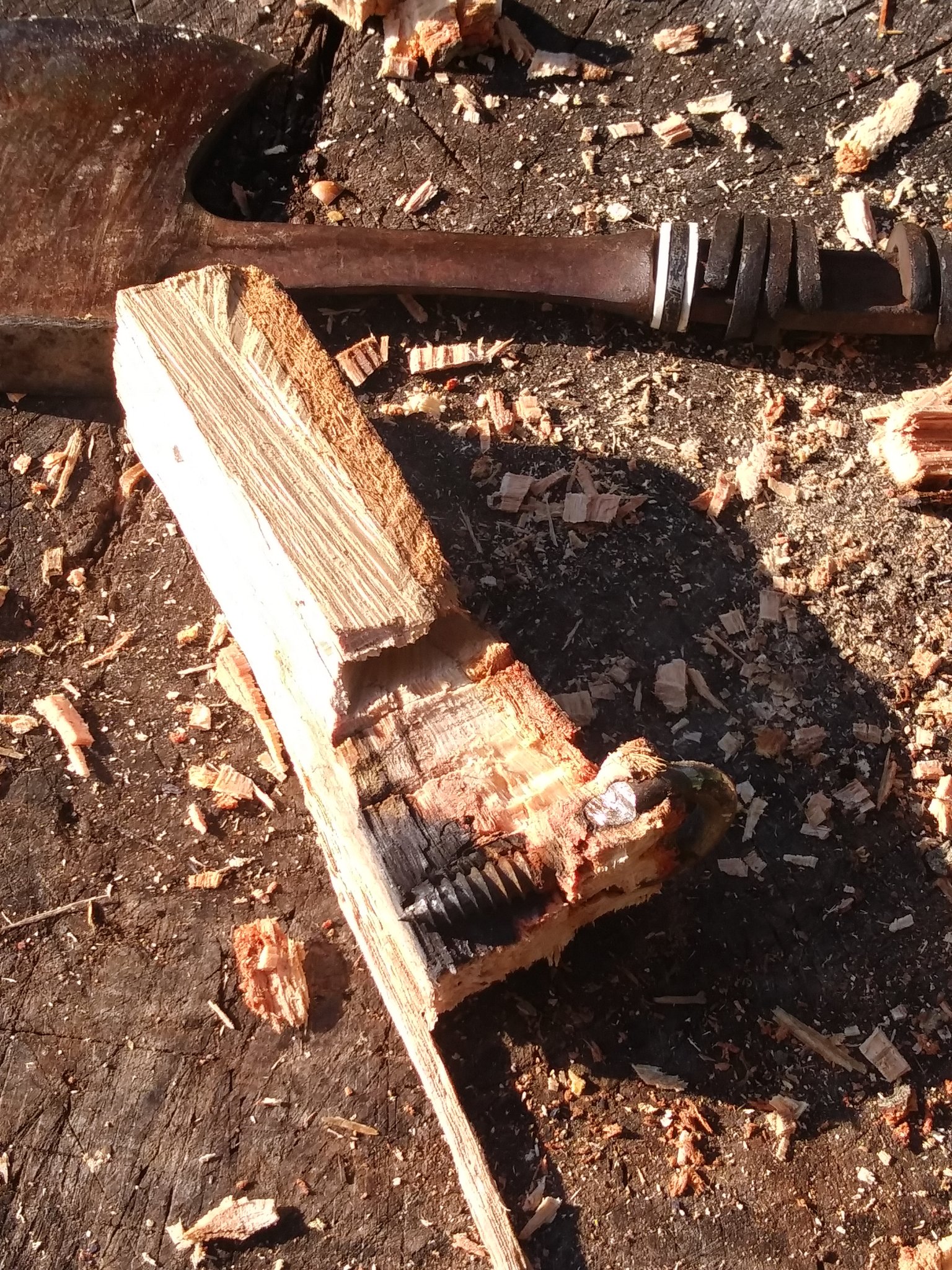 20201215_094938_HDR.jpg
