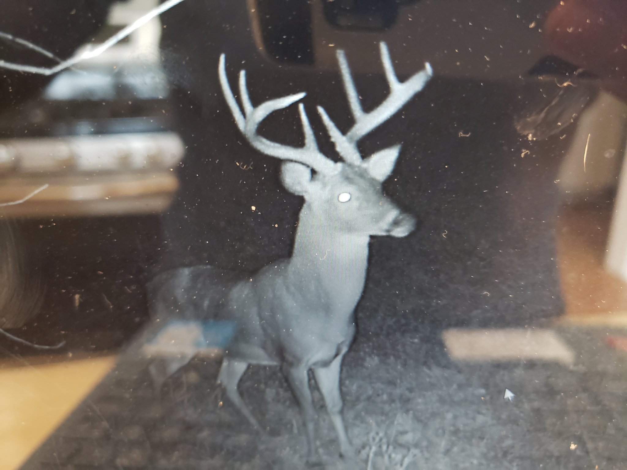 20201217_103308.jpg