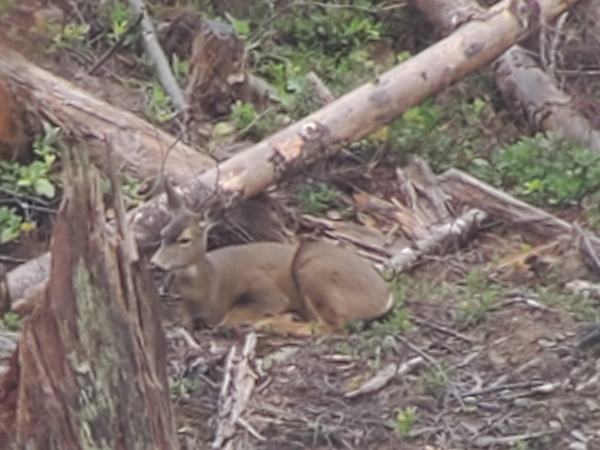 20201217_113011.jpg