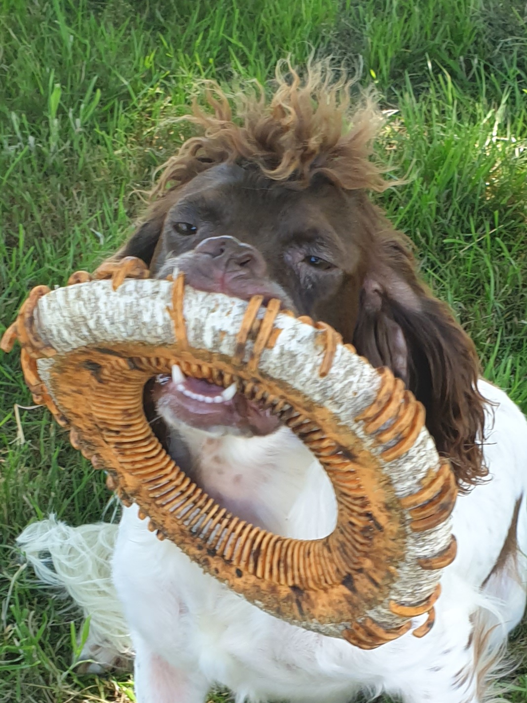 20201217_164117.jpg