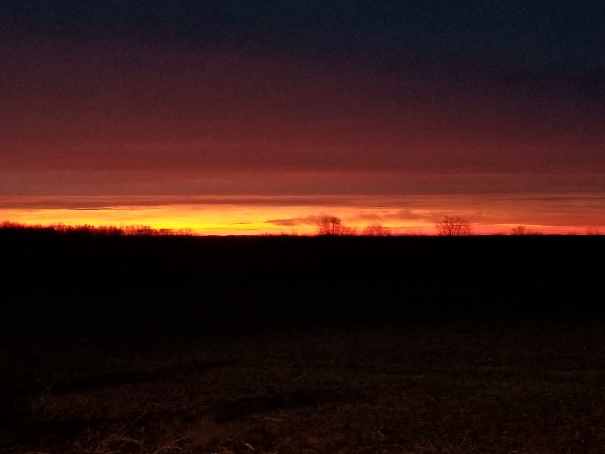 20201219_063719.jpg