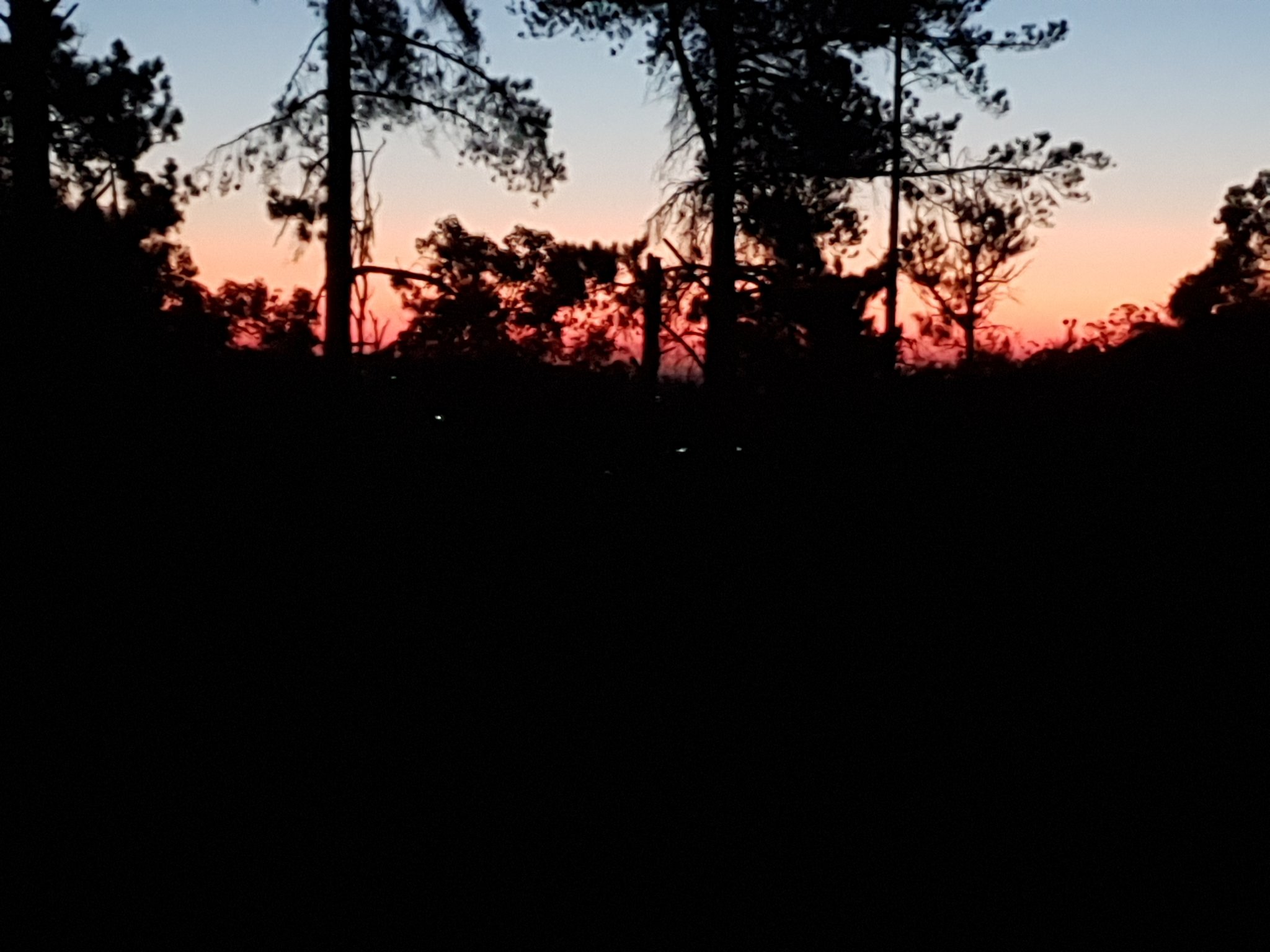 20201219_200326.jpg