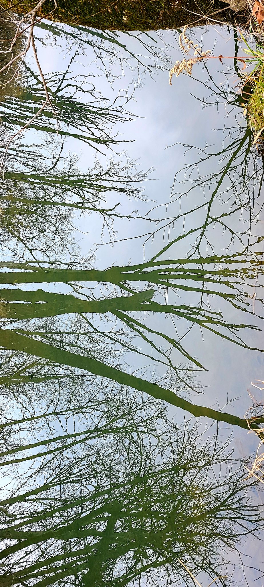 20201221_104747.jpg