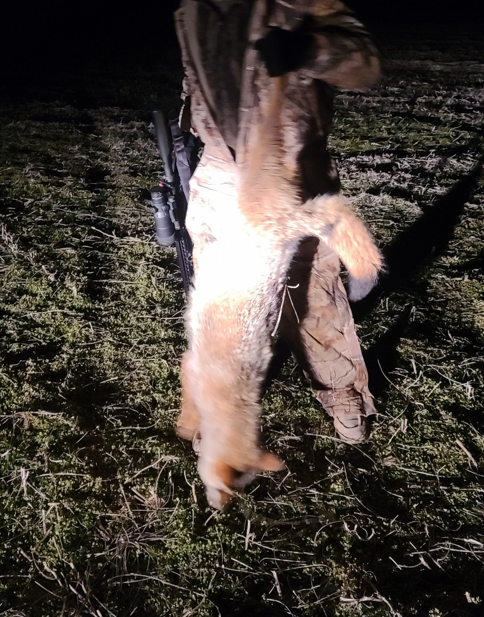 20201223_071018.jpg