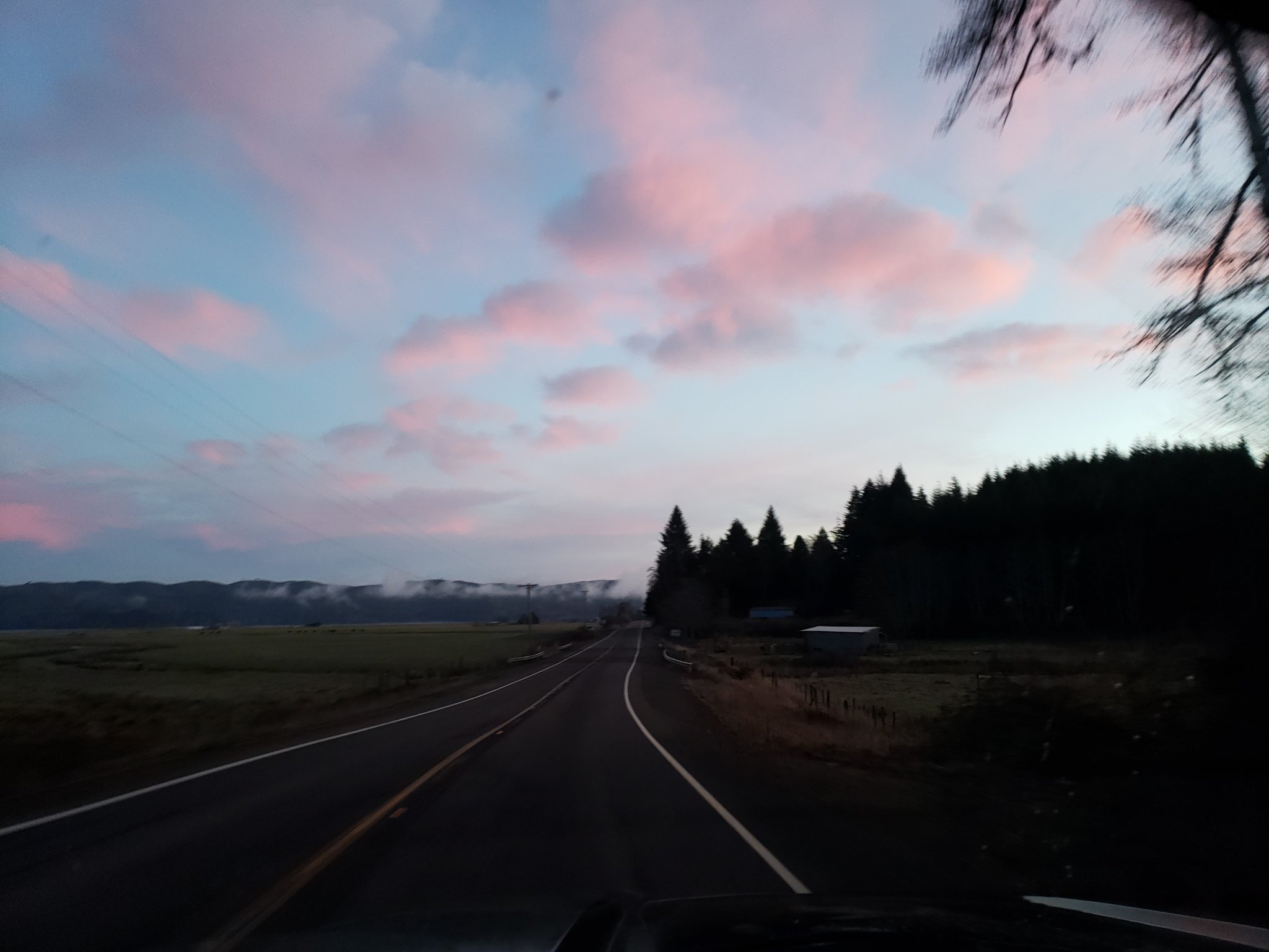 20201223_074459.jpg