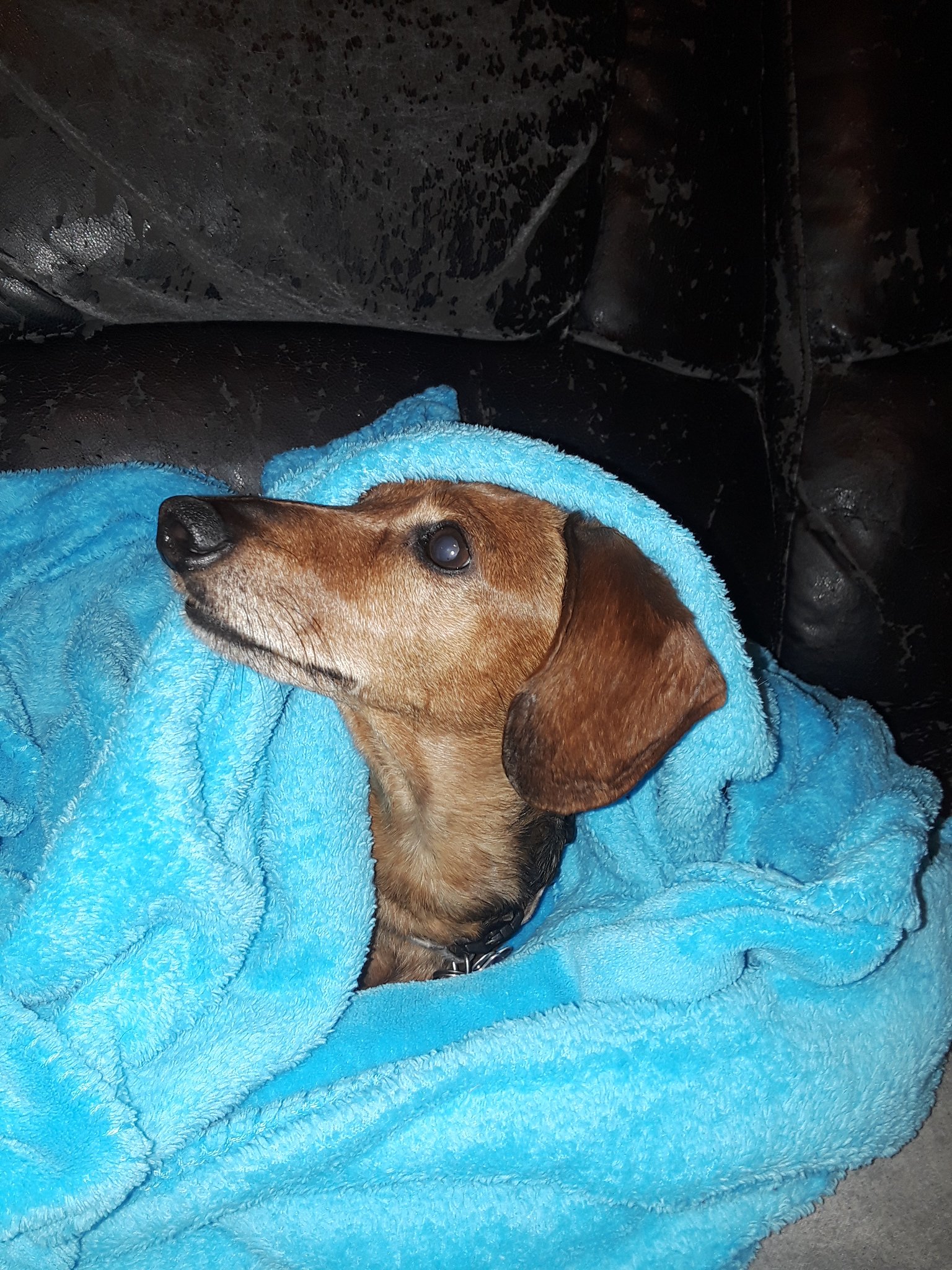 20201223_203056.jpg