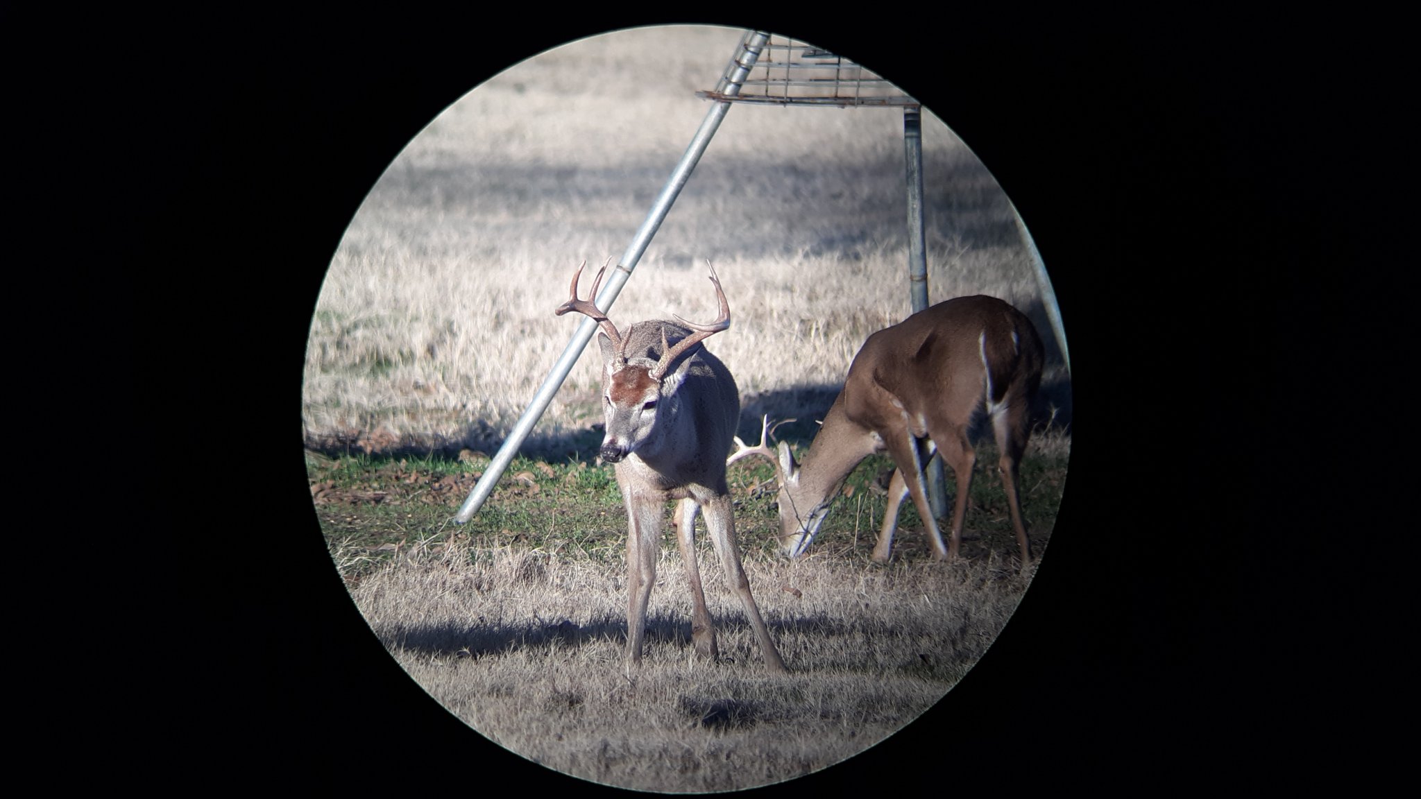 20201225_080845.jpg