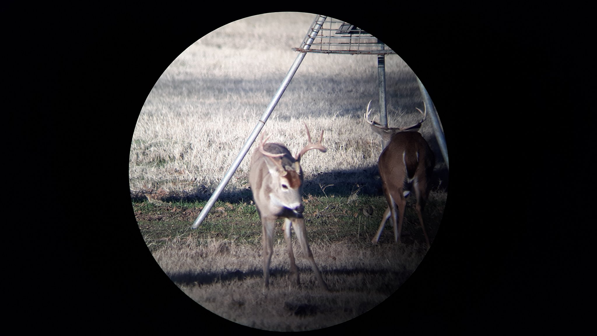 20201225_080846.jpg
