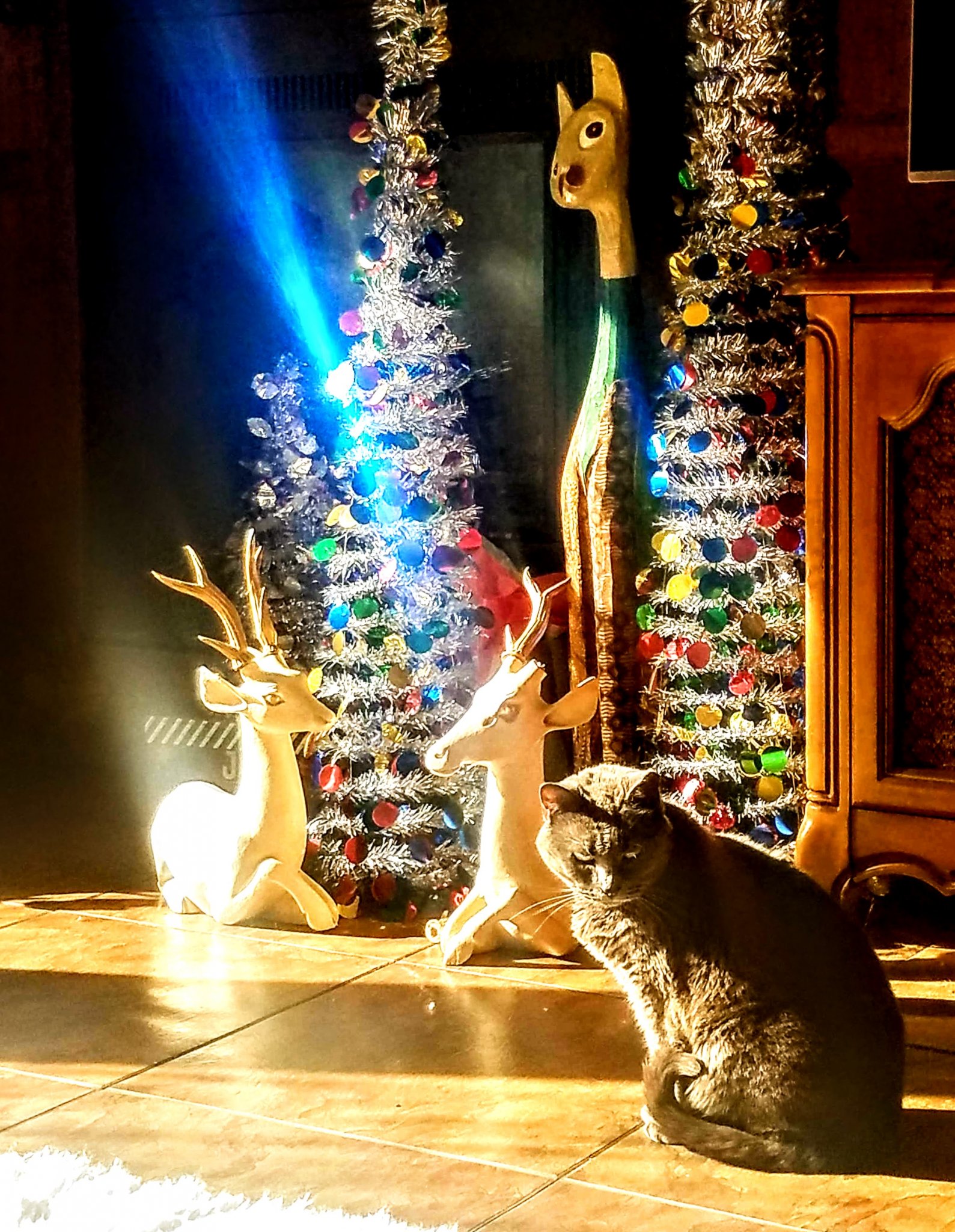 20201225_103749.jpg