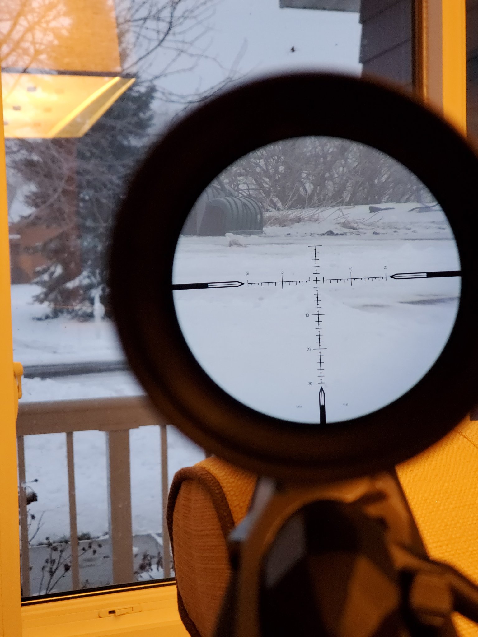 20201226_074754.jpg