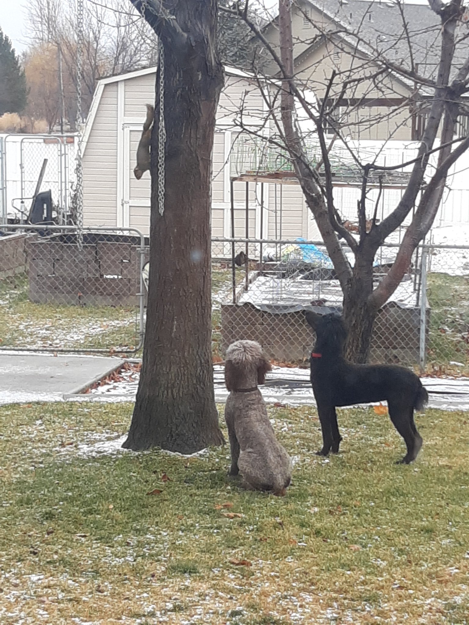20201226_131833.jpg