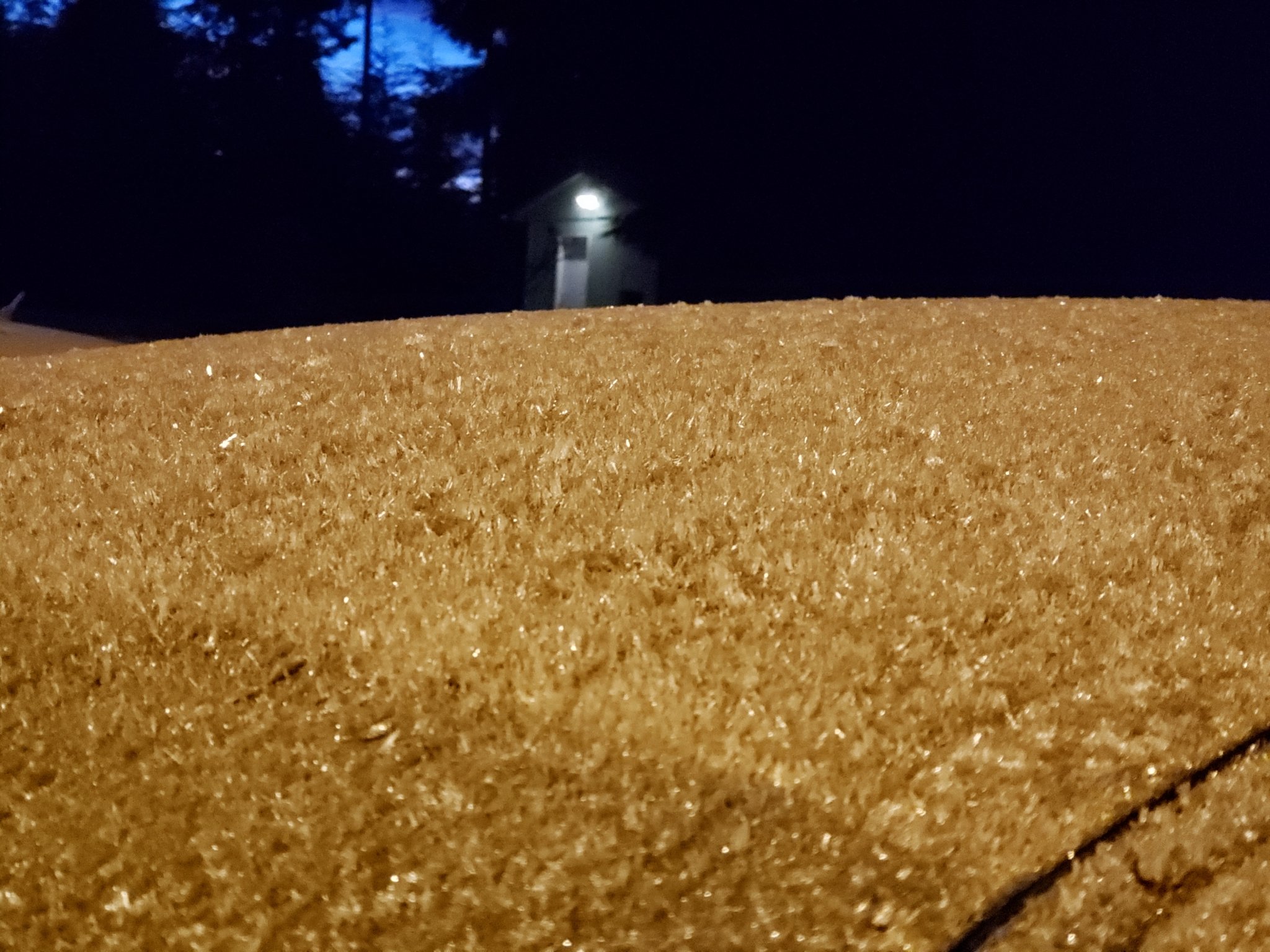 20201229_071848.jpg