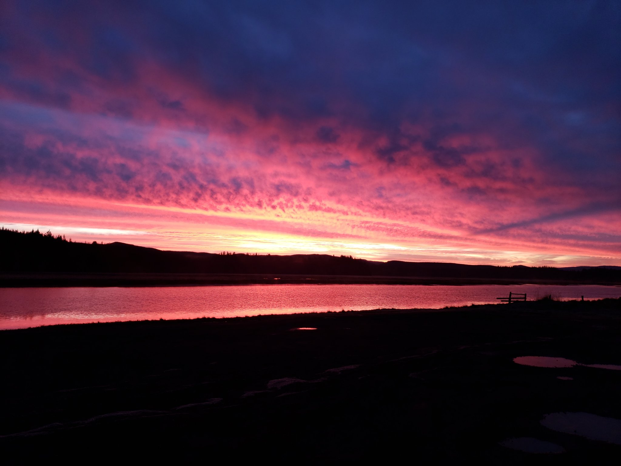 20201229_074515.jpg