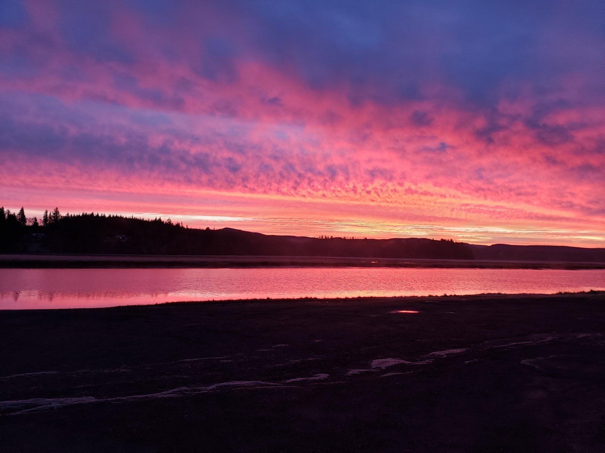 20201229_074534.jpg