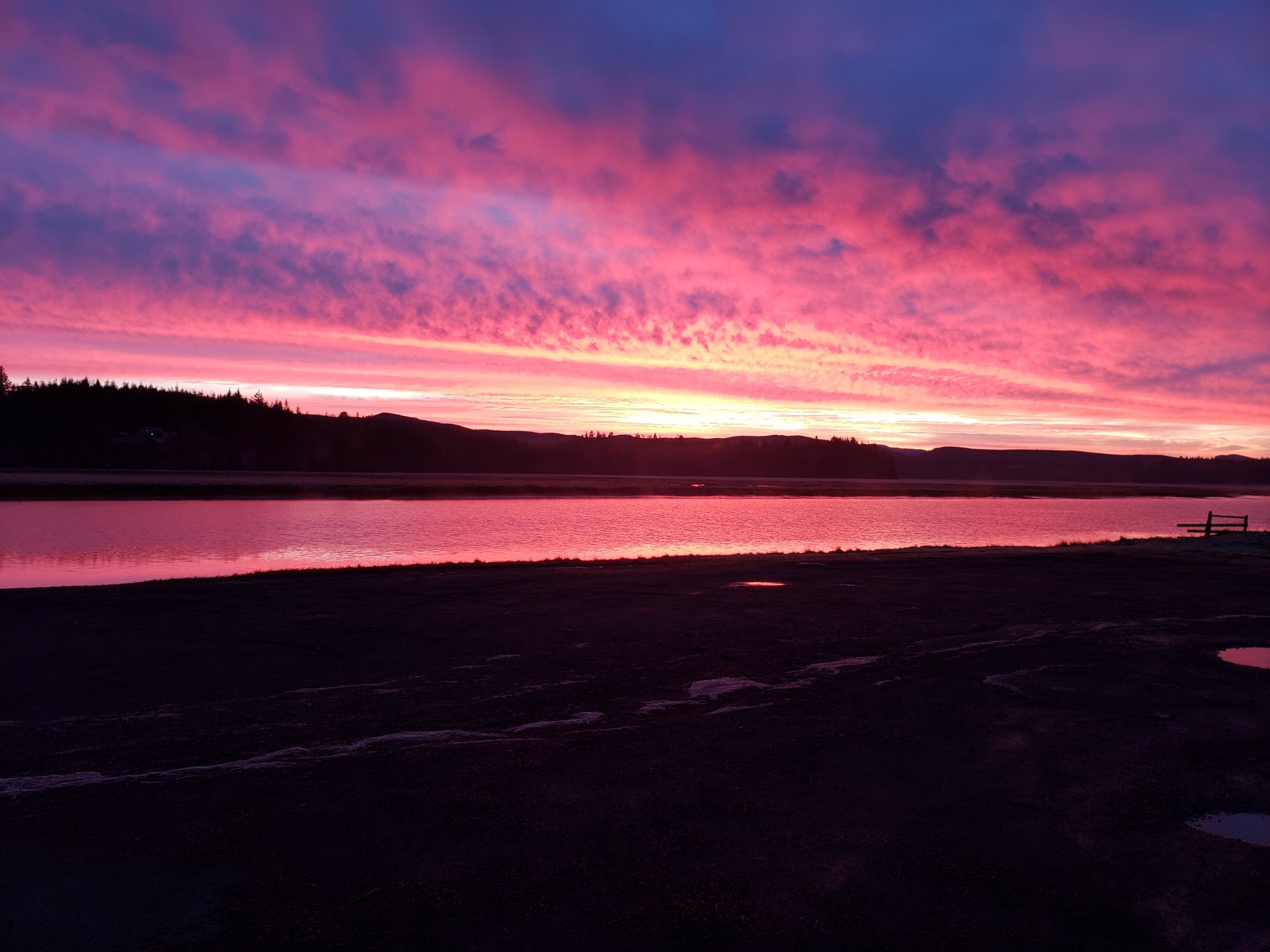 20201229_074549.jpg