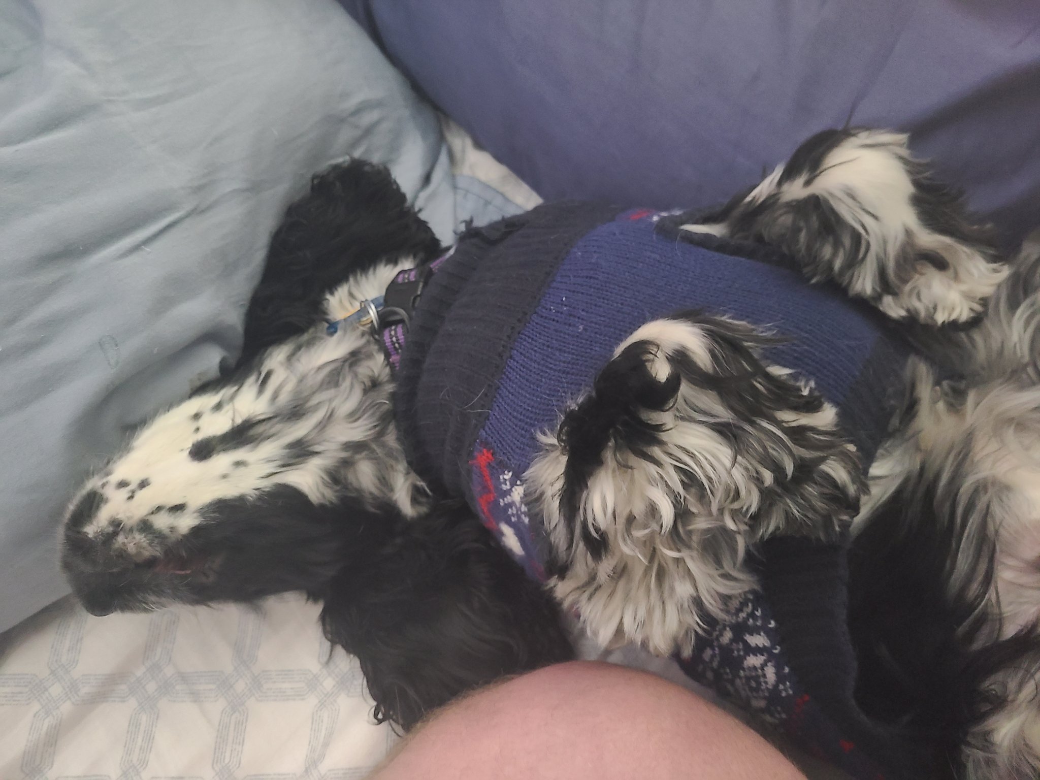20201231_234605.jpg