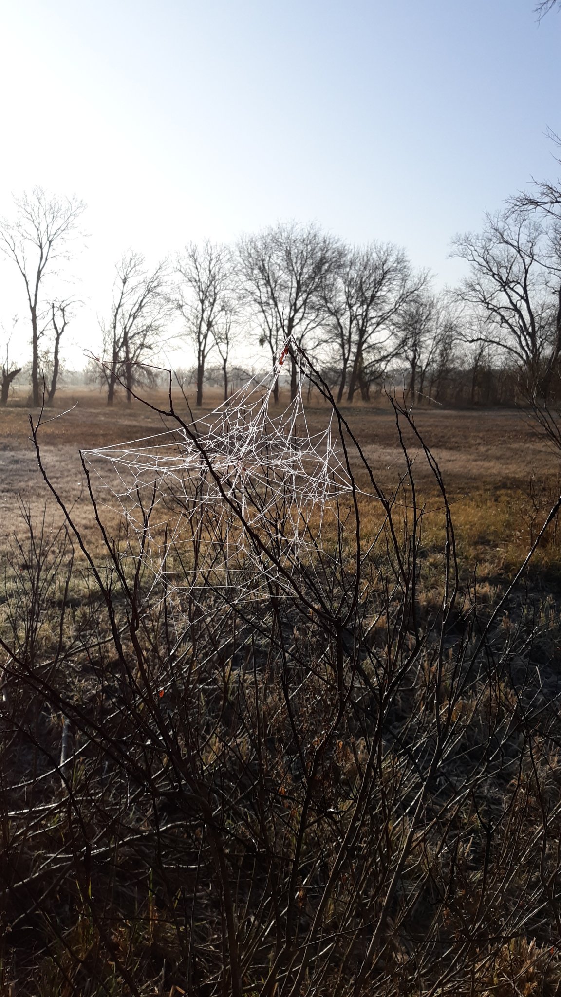 20210109_084537.jpg