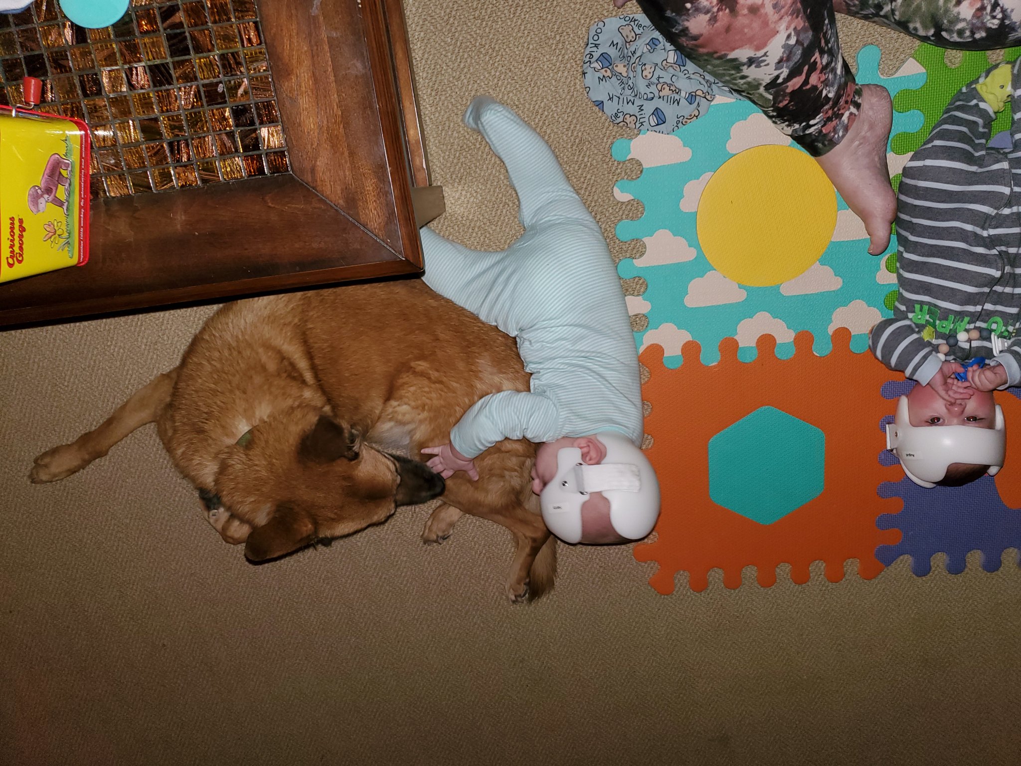 20210111_071309.jpg