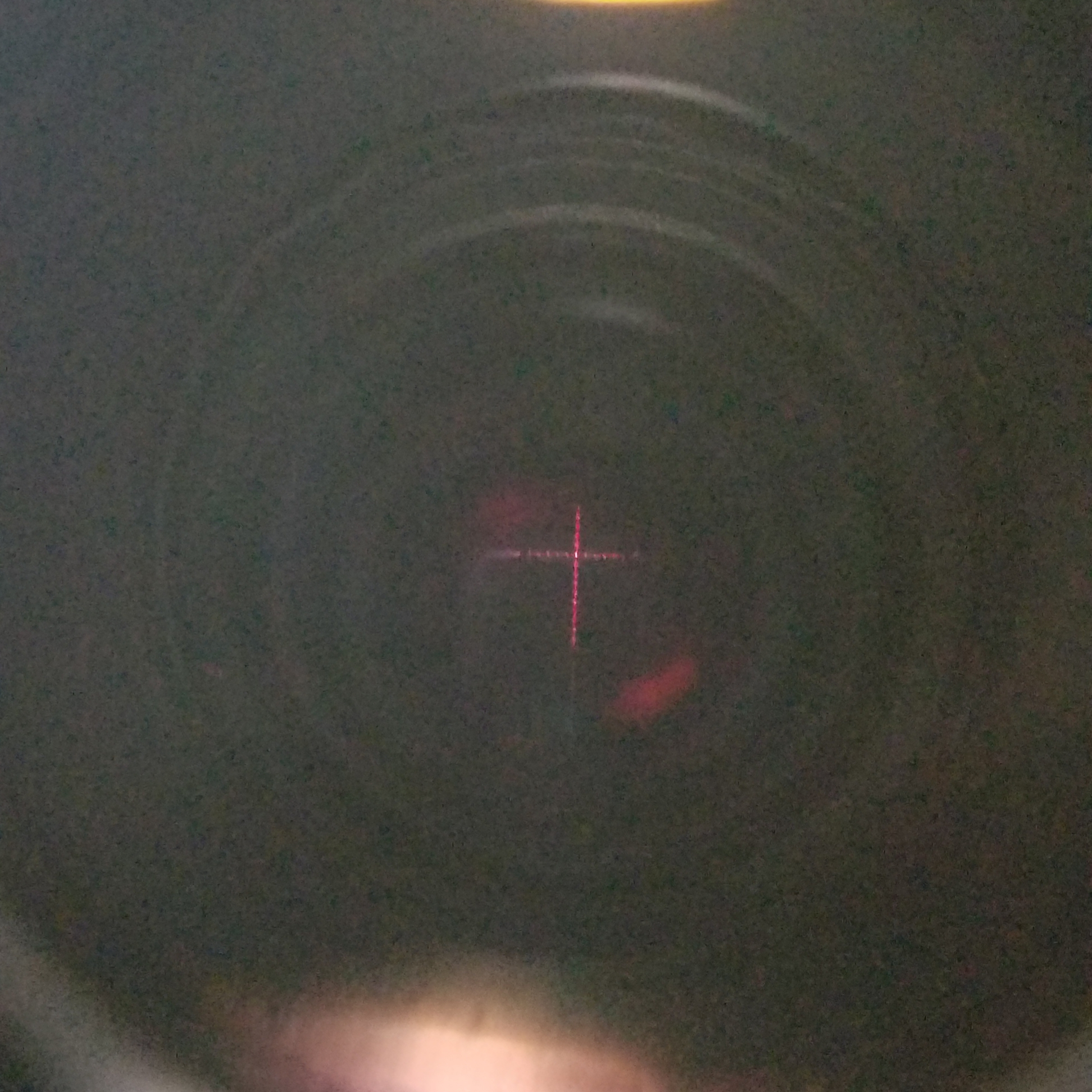 20210127_205314.jpg
