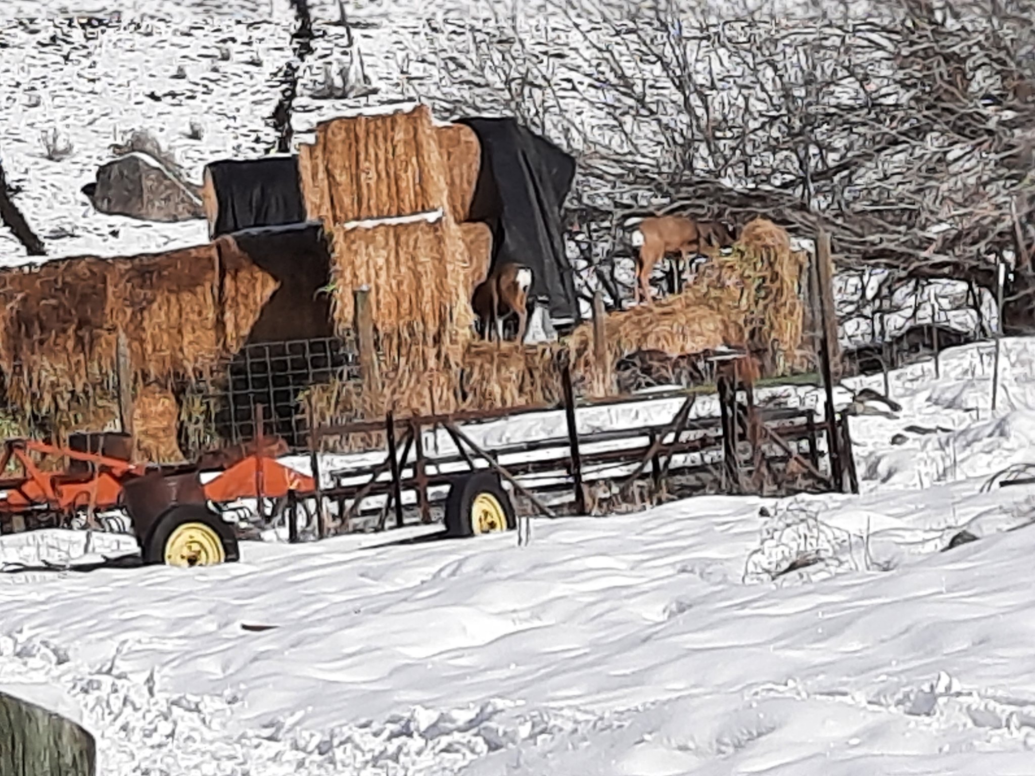 20210217_102038.jpg