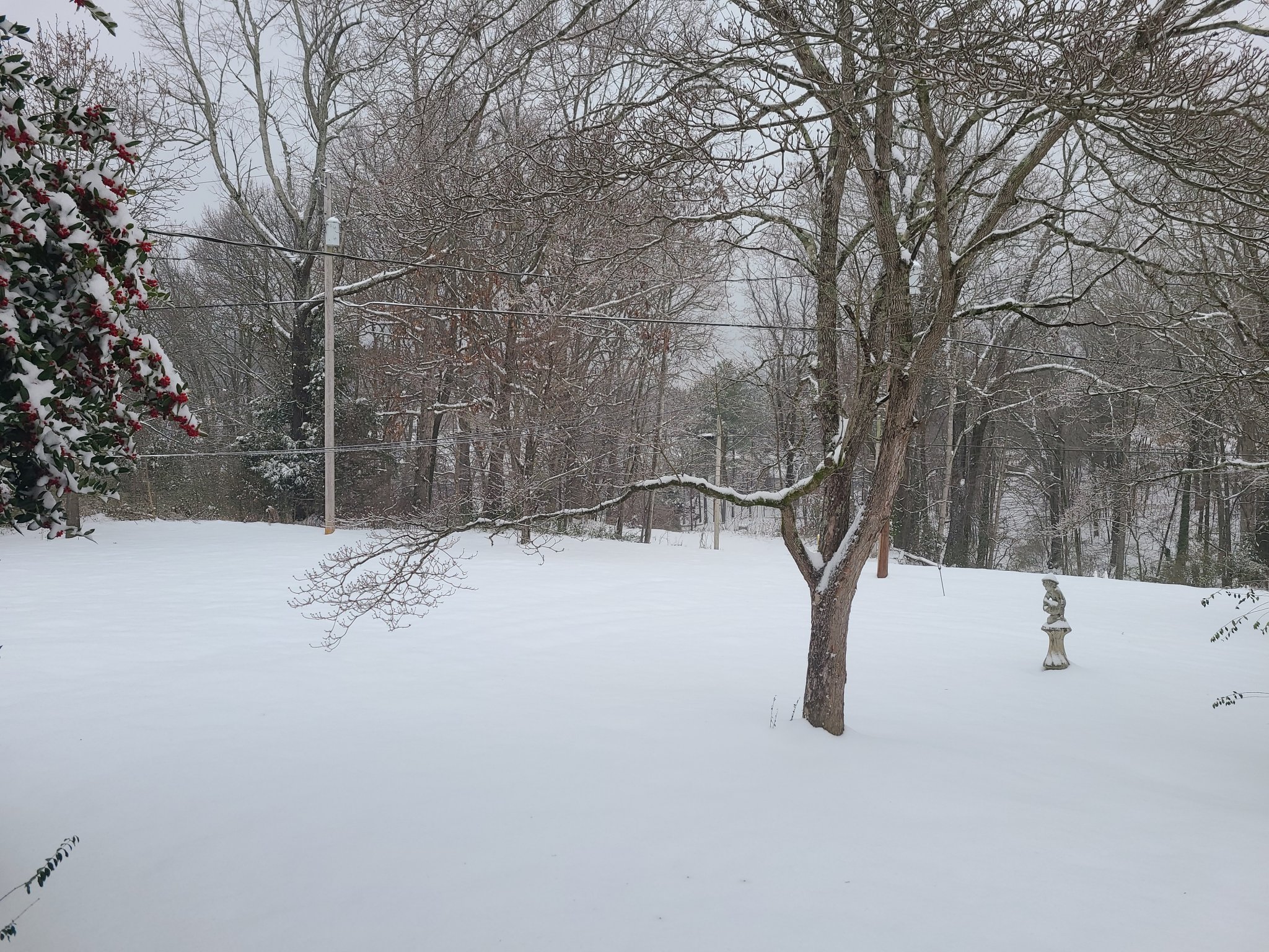 20210218_075441.jpg