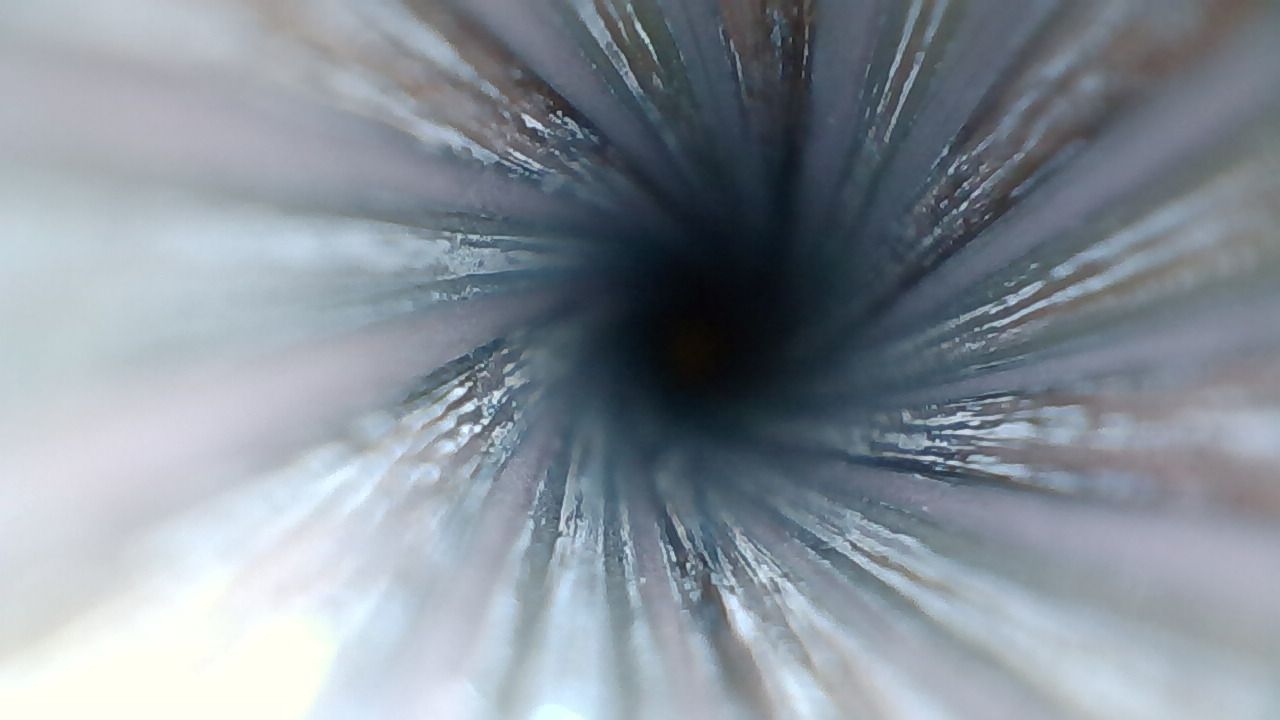 20210312091736.jpg