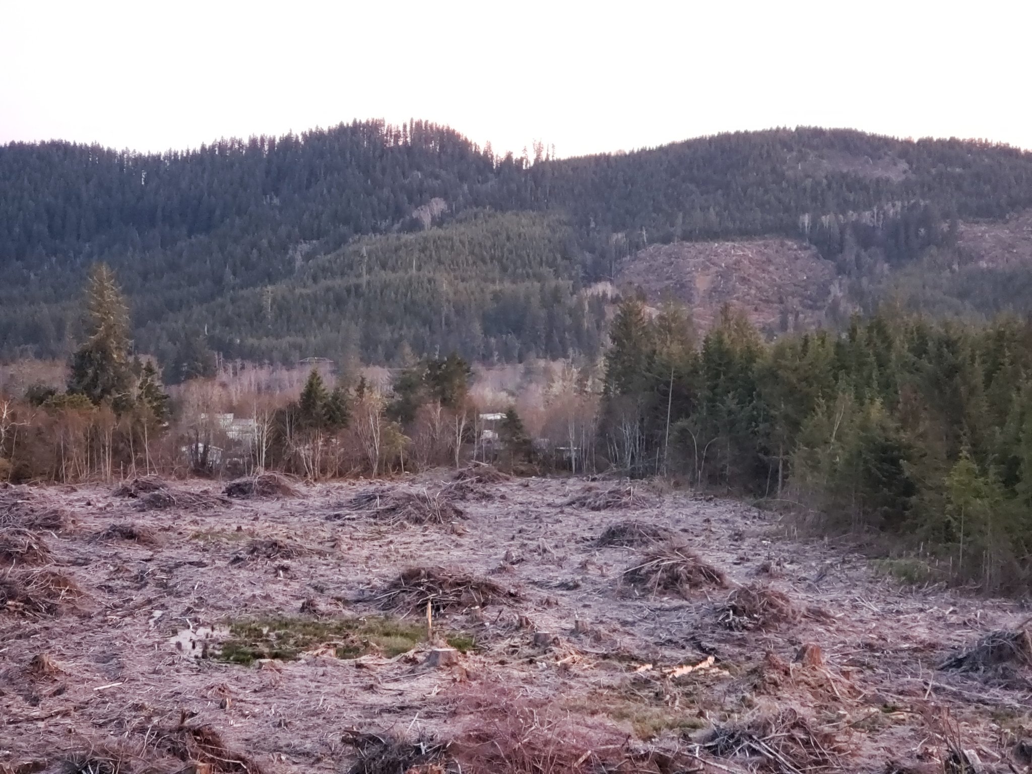20210317_071933.jpg