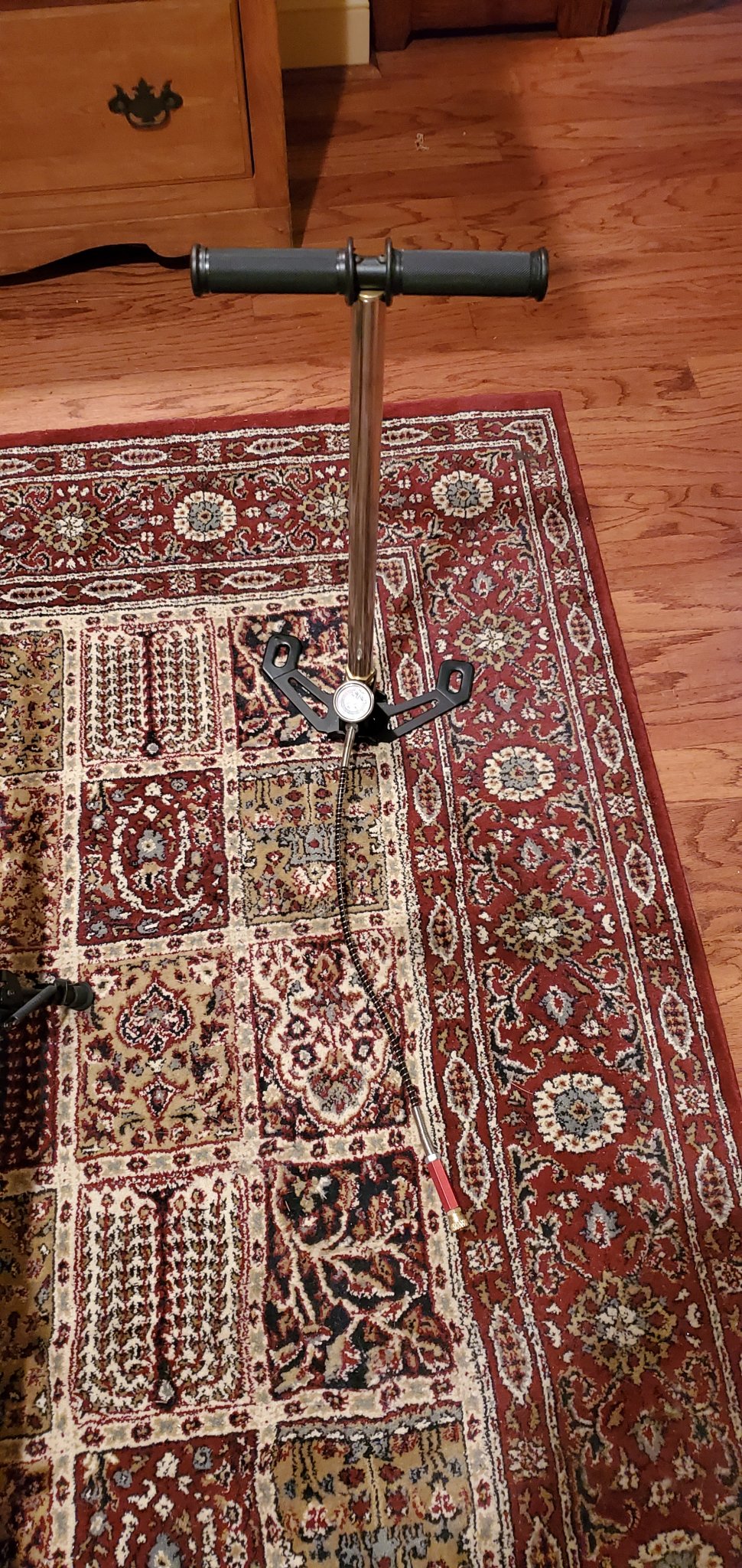 20210317_184956.jpg