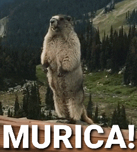 20210320_093634.gif
