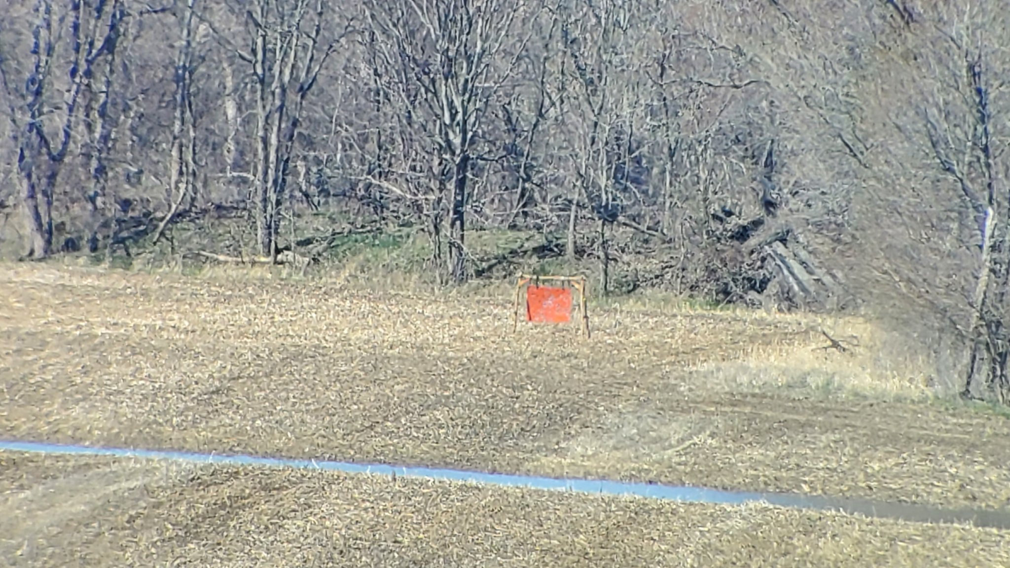 20210320_120323.jpg
